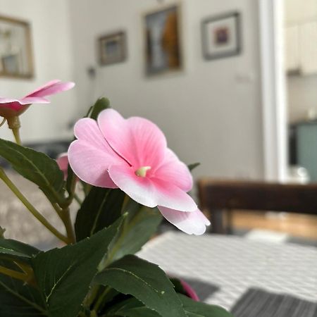 Kiraly Utca 15 Cozy Studio 布达佩斯 外观 照片