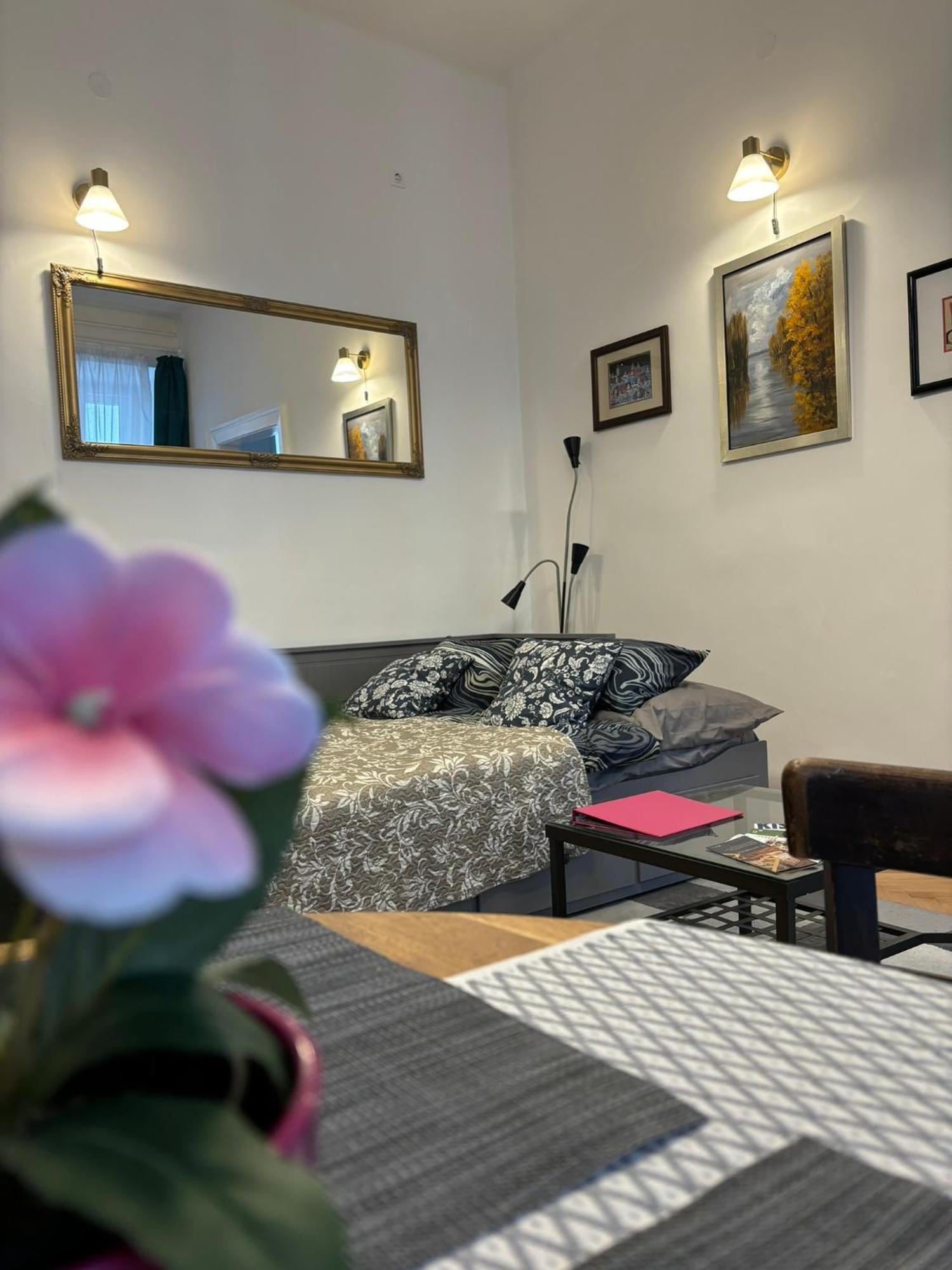 Kiraly Utca 15 Cozy Studio 布达佩斯 外观 照片